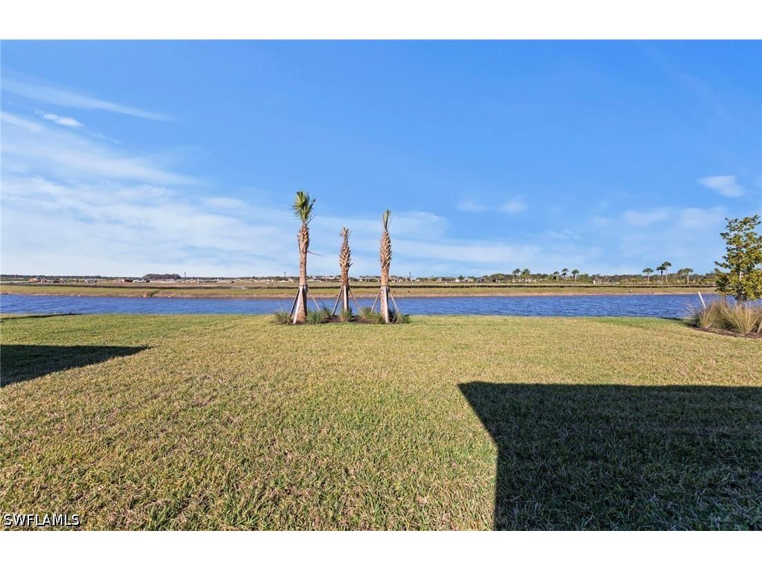 6291 Van Buren Court Ave Maria FL 34142 226023911 image32