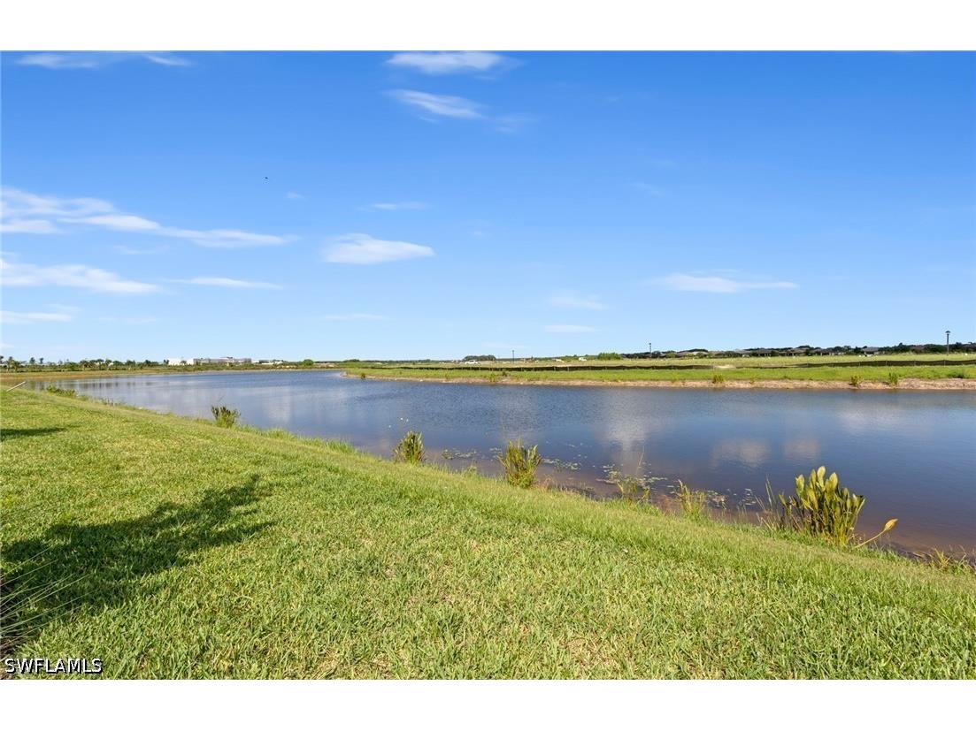 6295 Van Buren Court Ave Maria FL 34142 226023919 image38