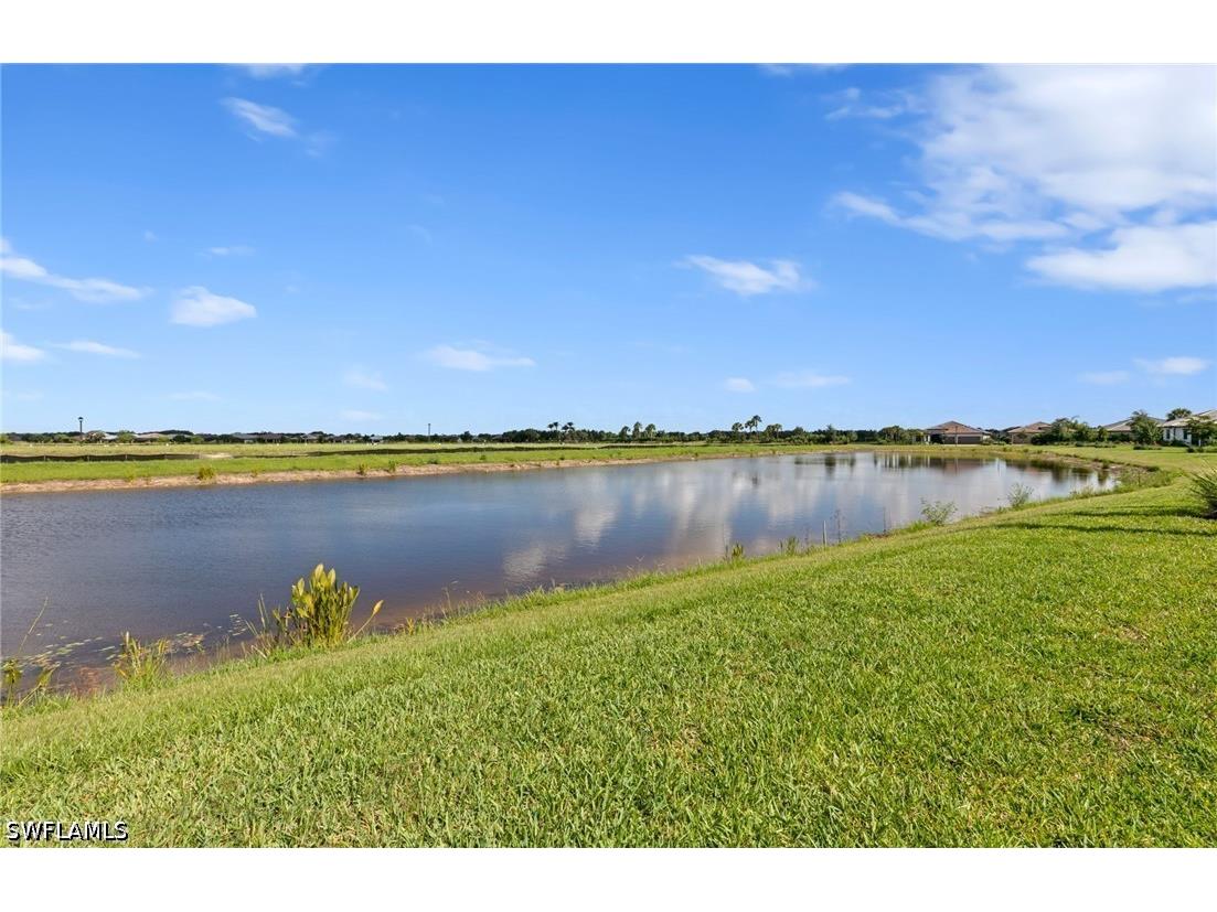 6295 Van Buren Court Ave Maria FL 34142 226023919 image39