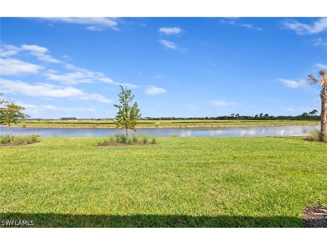 6295 Van Buren Court Ave Maria FL 34142 226023919 image40