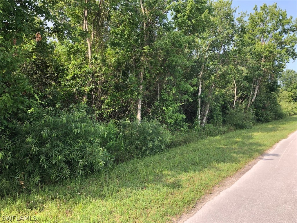 630 Shady Hollow Boulevard W Naples FL 34120 226011727 image4