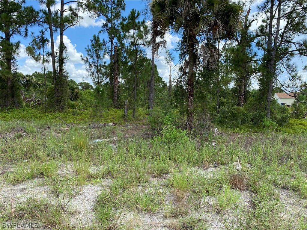 631 Franklin Avenue S Lehigh Acres FL 33974 222055500 image1