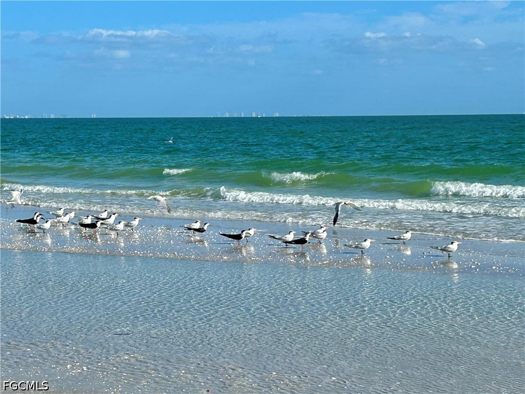 631 Nerita Street #A-5 Sanibel FL 33957 2026015184 image30