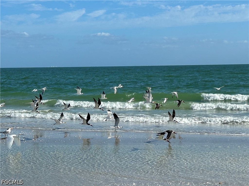 631 Nerita Street #A-5 Sanibel FL 33957 2026015184 image31