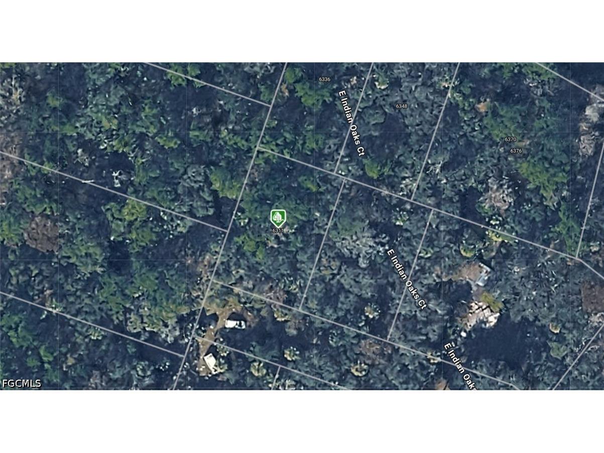 6311 Indian Oaks Court E Hernando FL 34442 2026023501 image1
