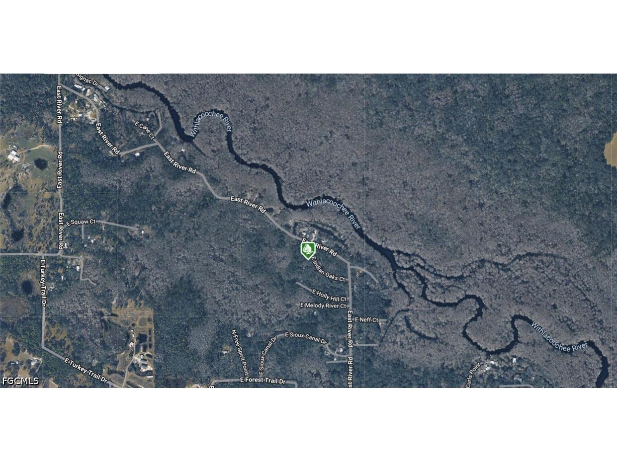 6311 Indian Oaks Court E Hernando FL 34442 2026023501 image3