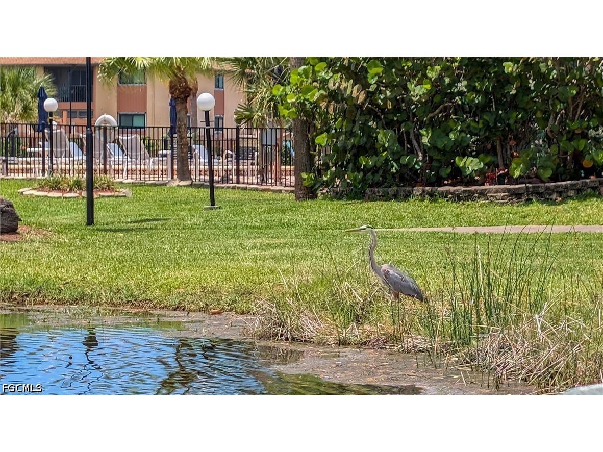 6315 Royal Woods Drive Fort Myers FL 33908 2026023719 image33