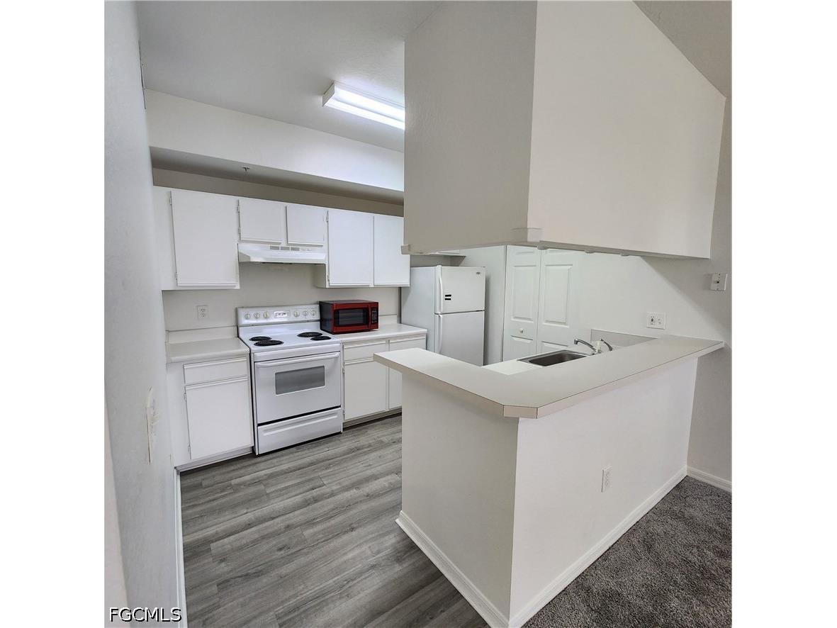 6321 Aragon Way #304 Fort Myers FL 33966 2026024280 image1
