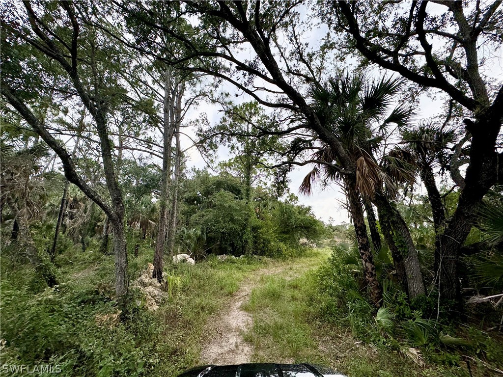 634 Jackie Court Lehigh Acres FL 33972 224050732 image1
