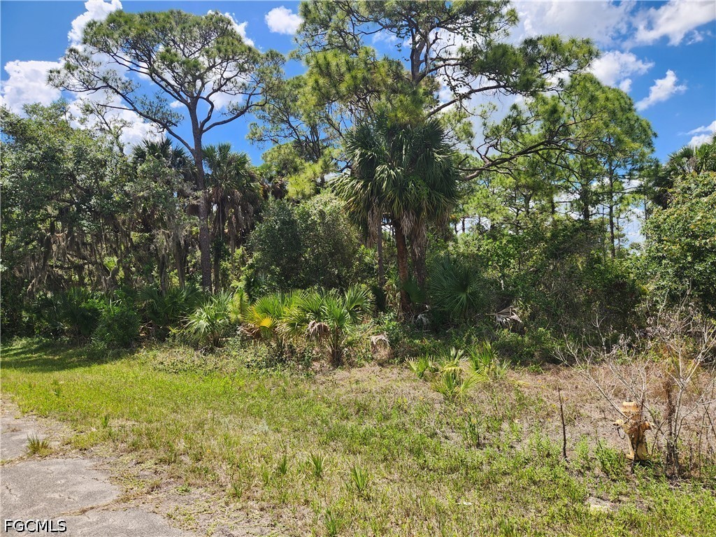 636 Nassau Circle Labelle FL 33935 2026023160 image3