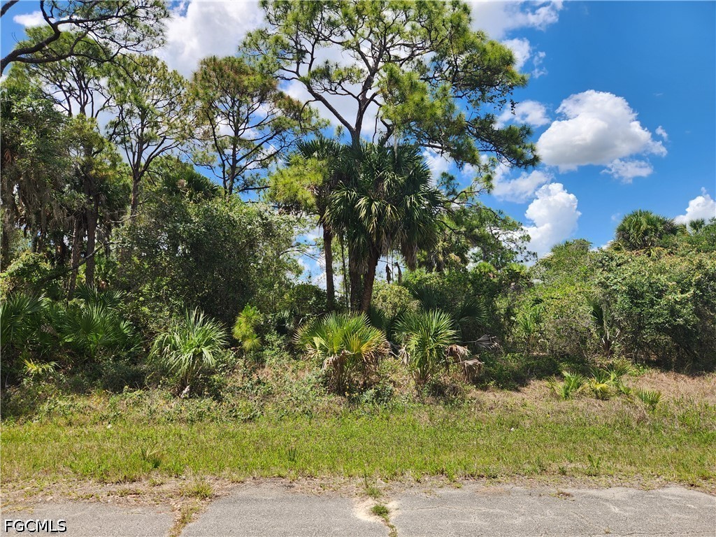 636 Nassau Circle Labelle FL 33935 2026023160 image4
