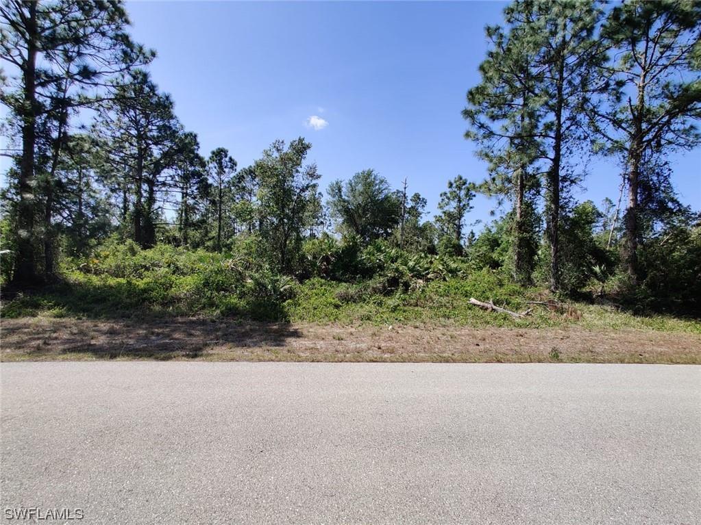 636 Raintree Street E Lehigh Acres FL 33974 223025048 image1