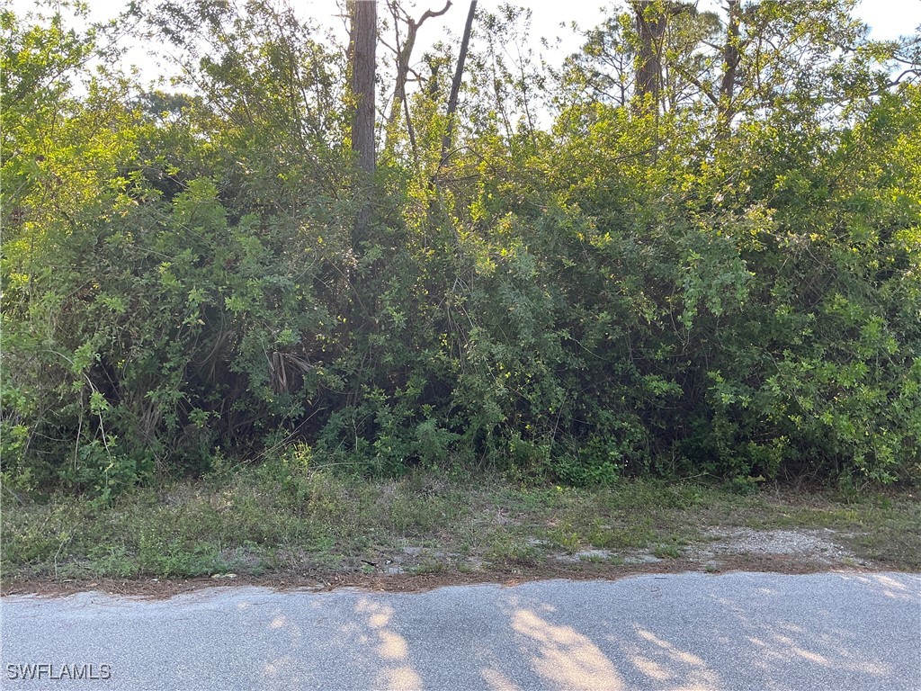 636 Sunflower Avenue S Lehigh Acres FL 33974 225043353 image1