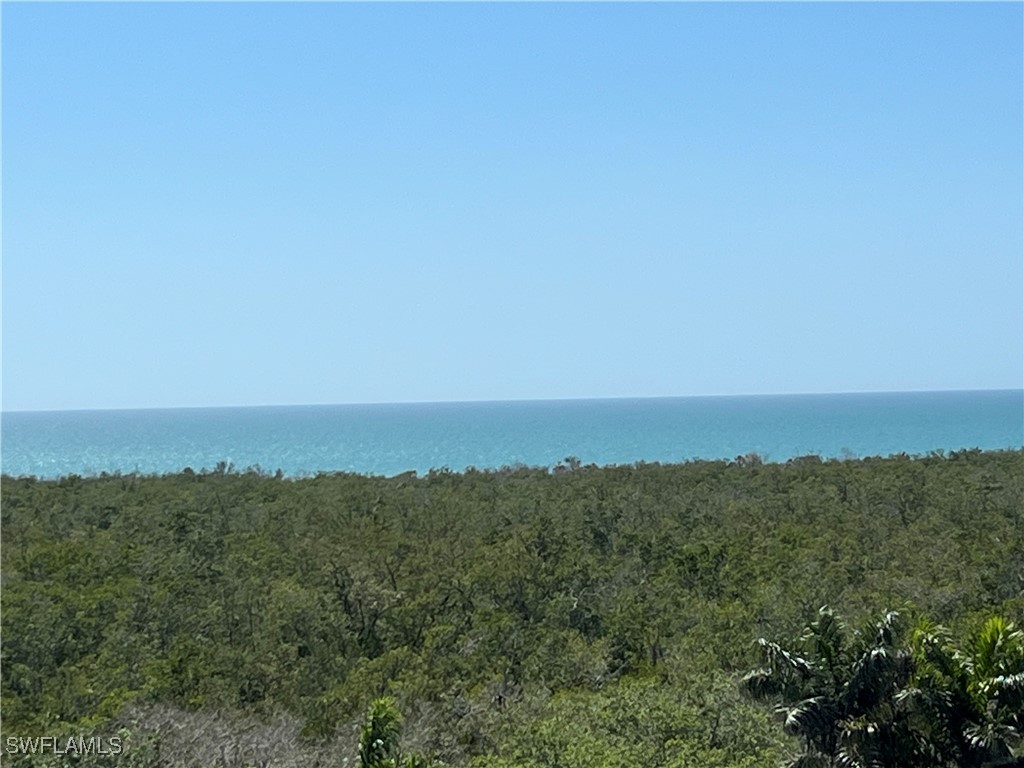 6361 Pelican Bay Boulevard #605 Naples FL 34108 225034422 image36