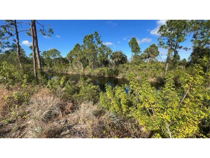 637 Wilmington Parkway Cape Coral FL 33993 2025009679 image2