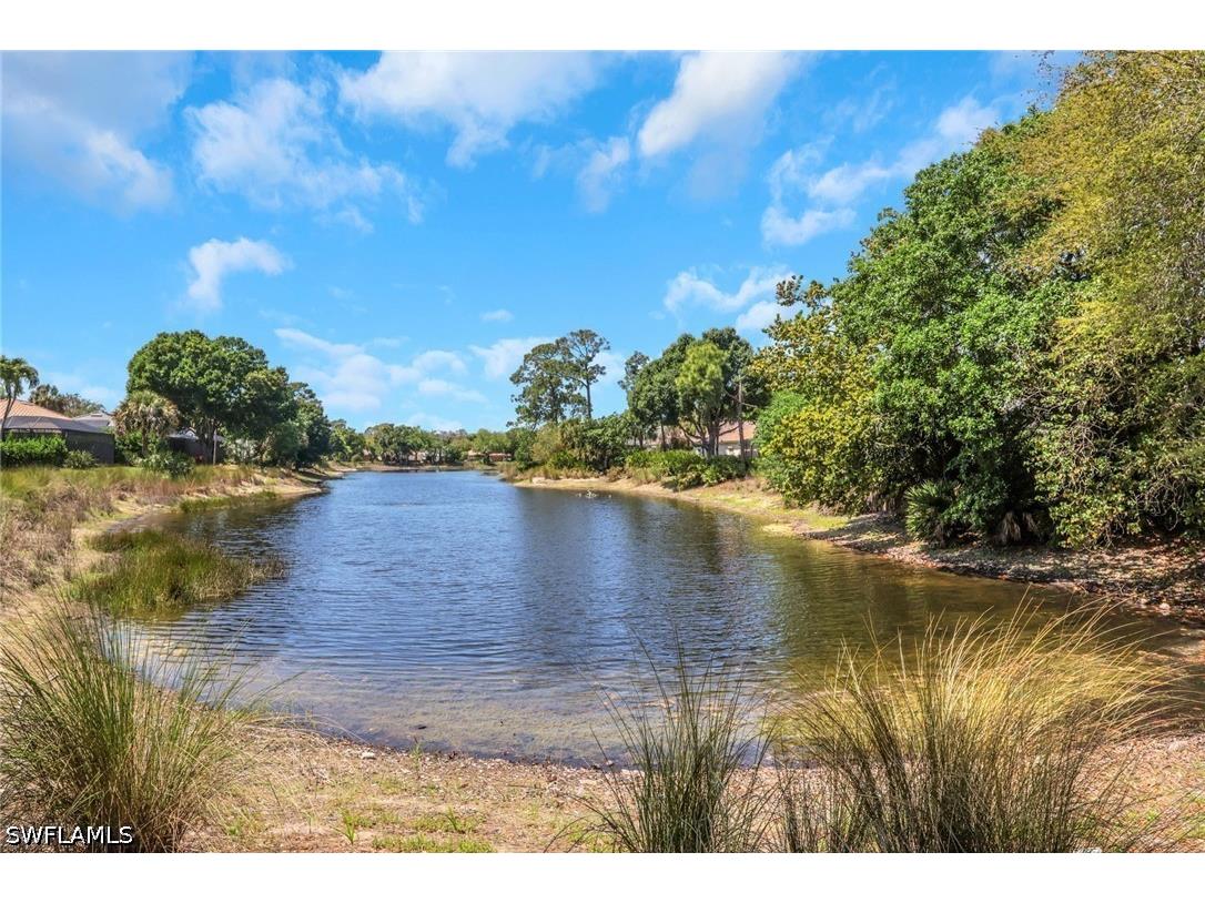 6391 Old Mahogany Court Naples FL 34109 226019312 image37