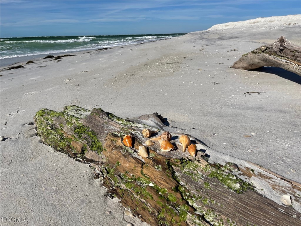 640 Gulf Lane #4 Captiva FL 33924 2026000376 image49