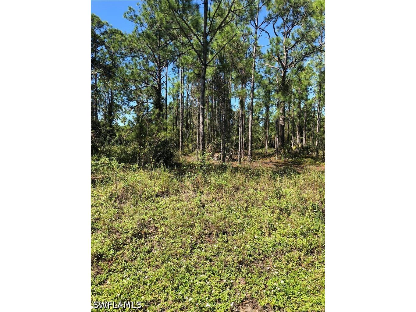 640 Naples Avenue S Lehigh Acres FL 33974 226017601 image1