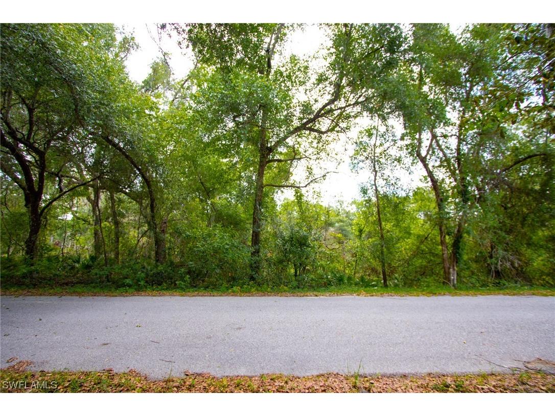 6400 Juniper Avenue Webster FL 33597 223041860 image1