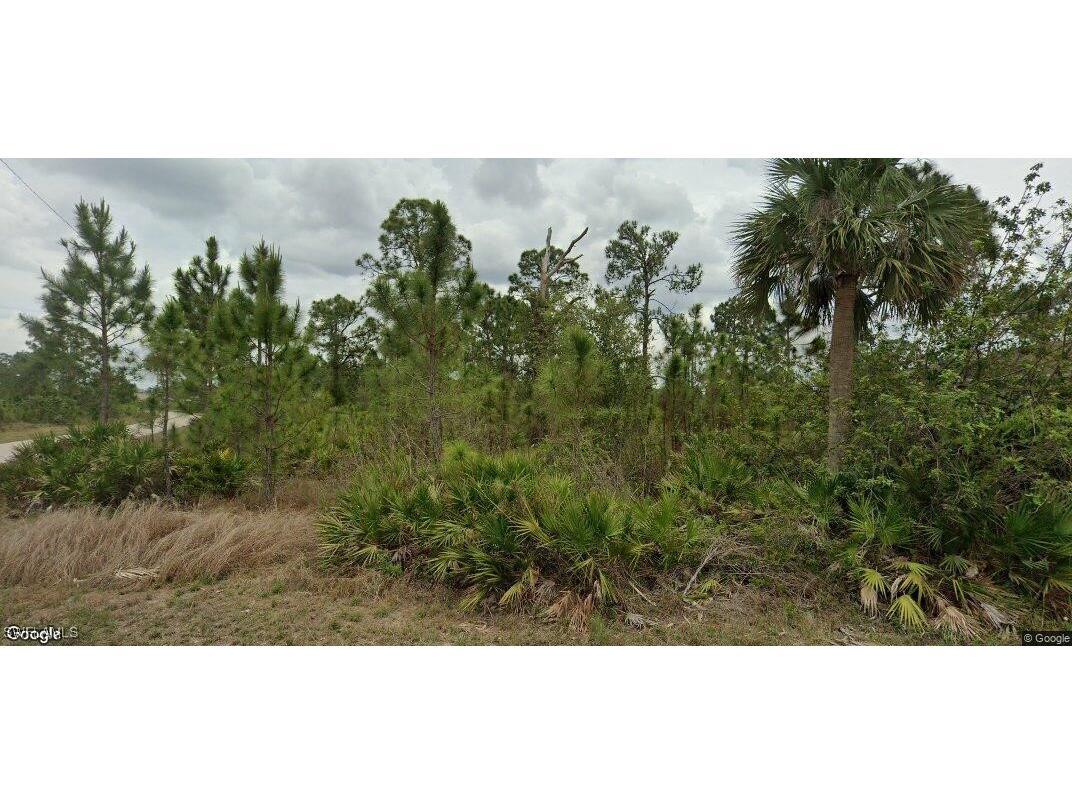 641 Sondu Avenue Lehigh Acres FL 33974 225034543 image1