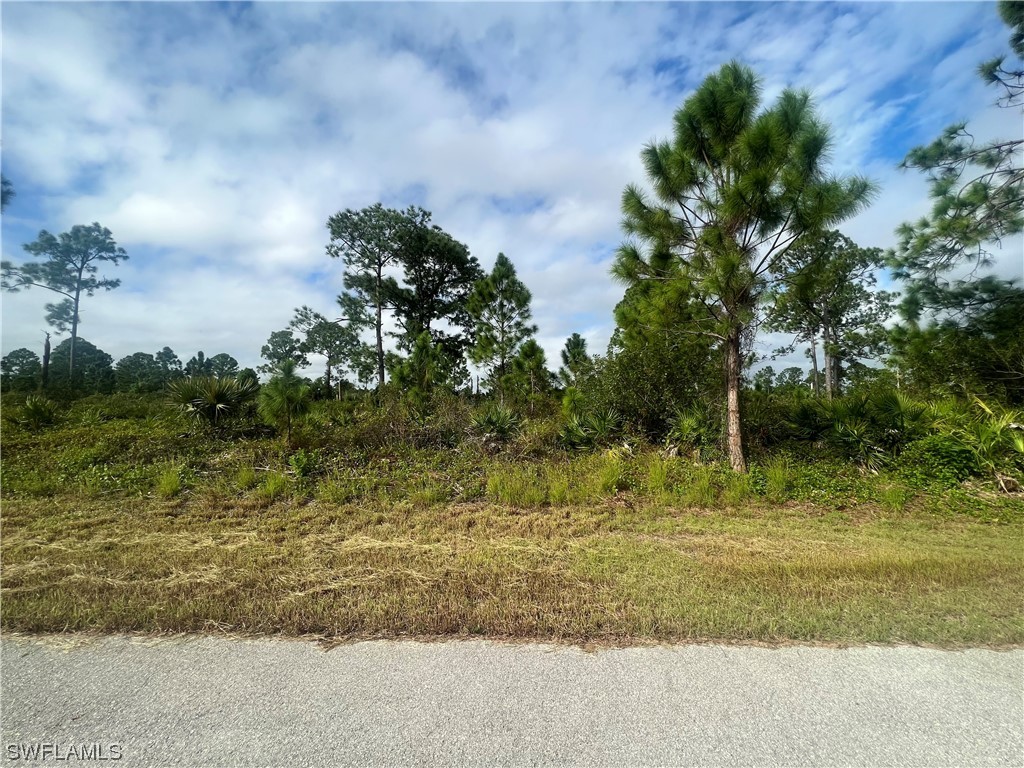 642 Glenquist Avenue S Lehigh Acres FL 33974 223084090 image1