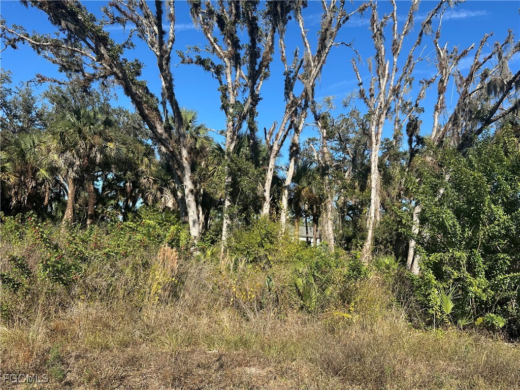 642 Kleinart Drive Lehigh Acres FL 33972 2026000454 image2
