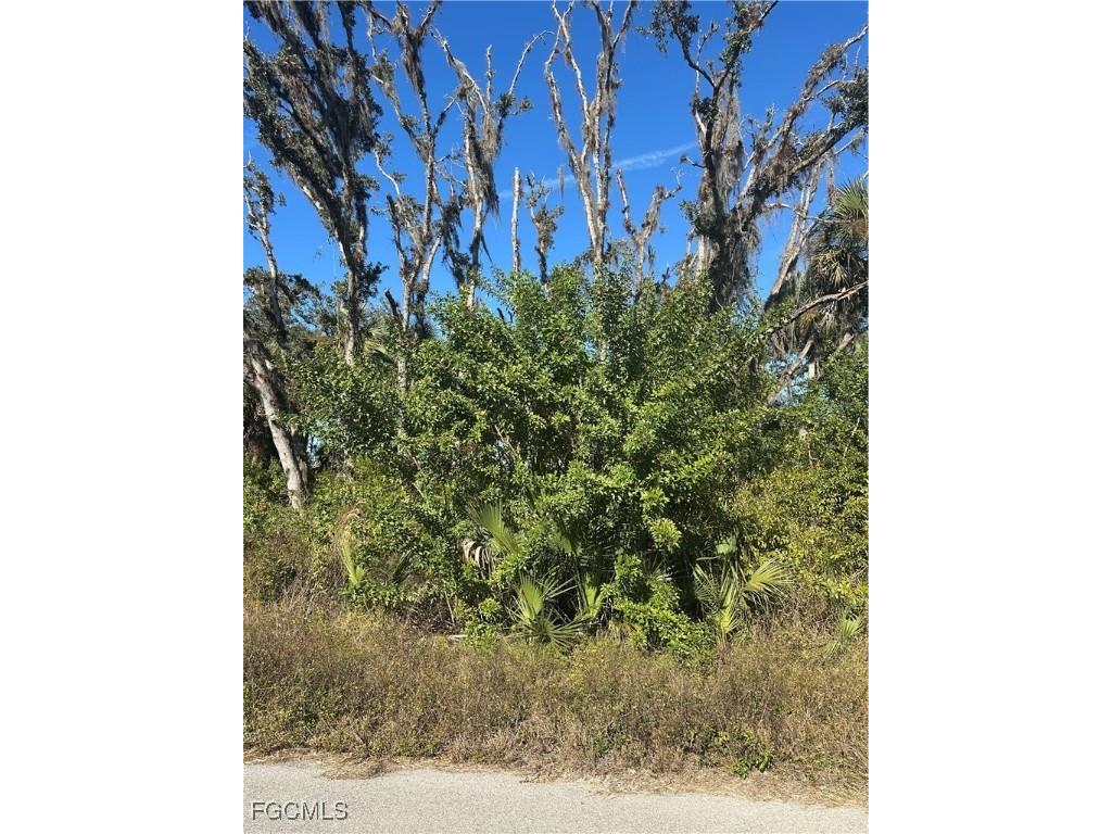642 Kleinart Drive Lehigh Acres FL 33972 2026000454 image5