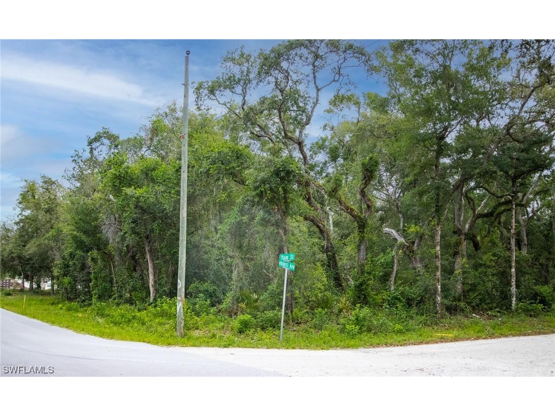 6425 Yam Street Webster FL 33597 223045307 image1