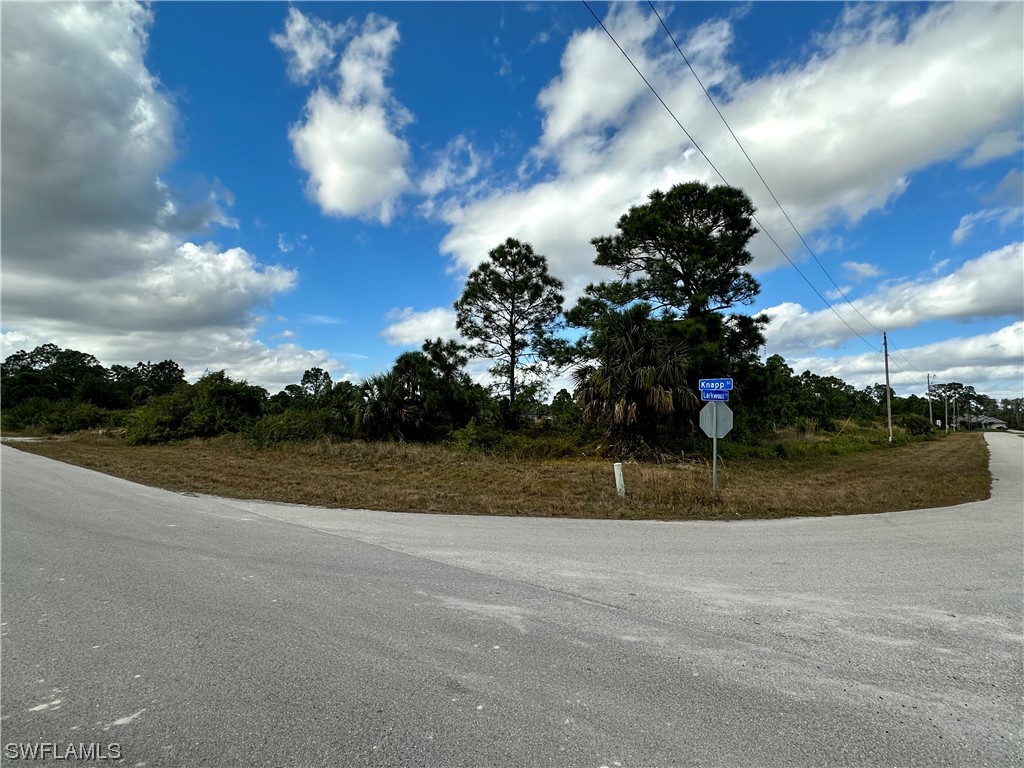 643 Knapp Street Lehigh Acres FL 33974 224000532 image1