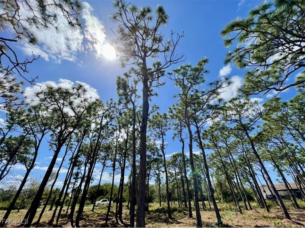 6438 Fuller Drive Bokeelia FL 33922 2025008934 image2