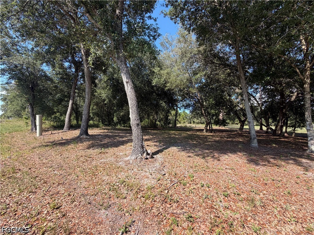 645 N Hacienda Street Clewiston FL 33440 2026027992 image2