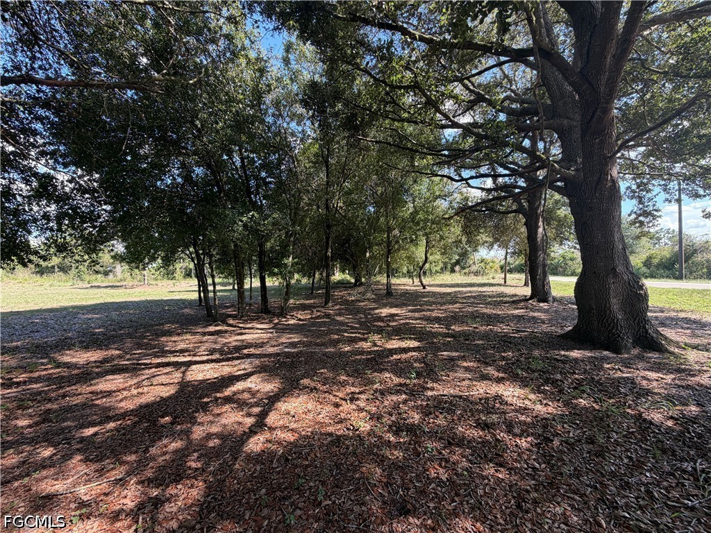 645 N Hacienda Street Clewiston FL 33440 2026027992 image3