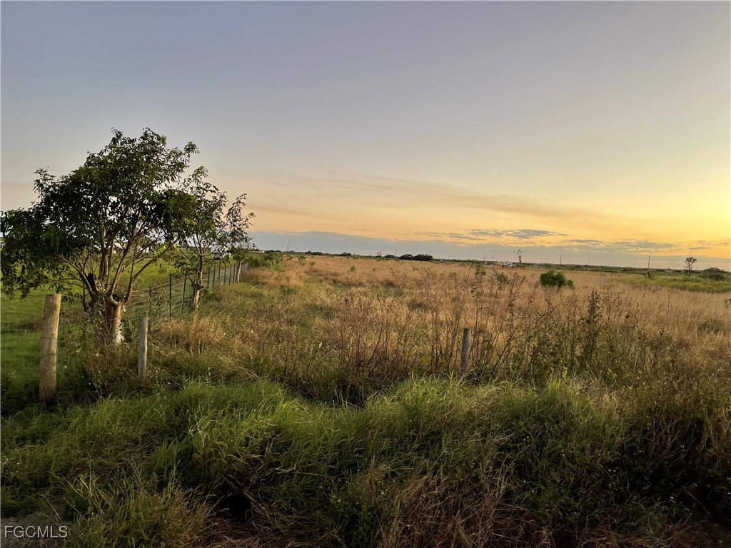 6455 3rd Road Labelle FL 33935 2025025475 image4