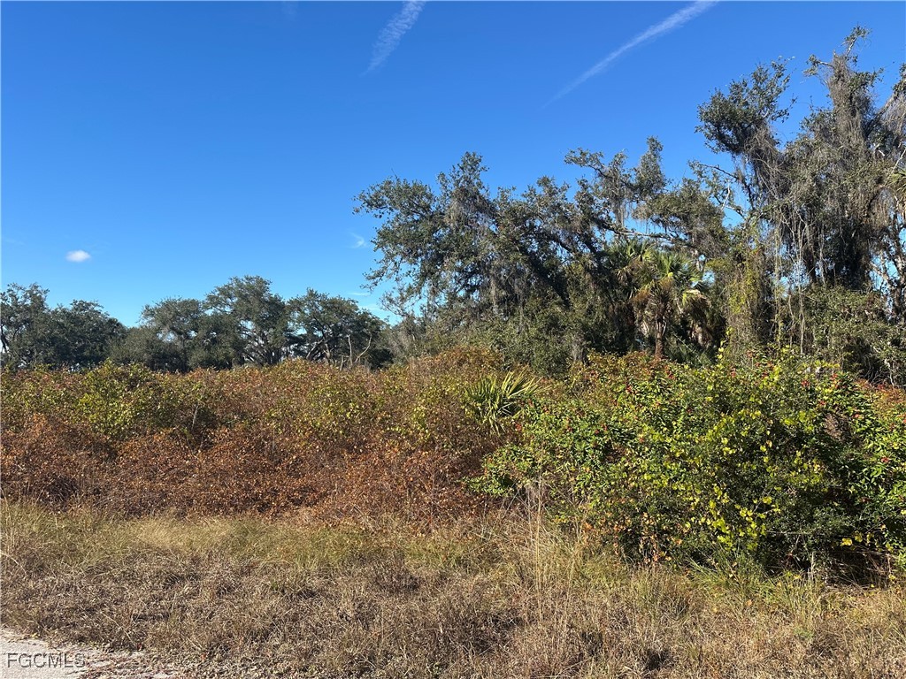 646 Kleinart Drive NW Lehigh Acres FL 33972 2026000443 image1