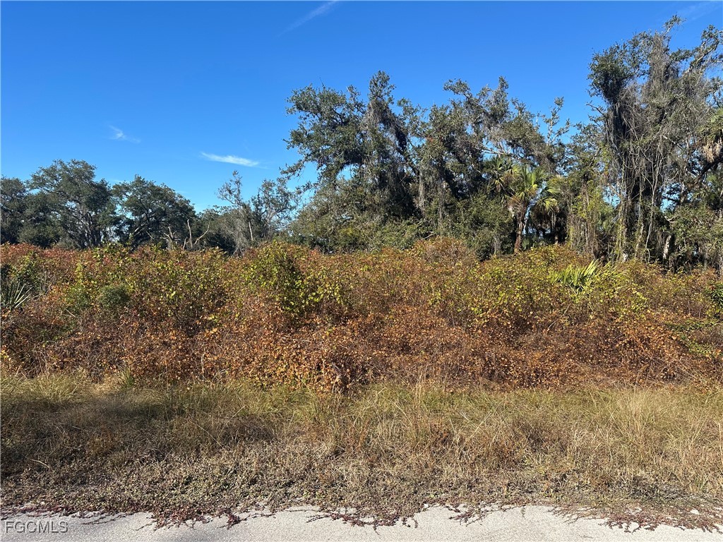 646 Kleinart Drive NW Lehigh Acres FL 33972 2026000443 image2
