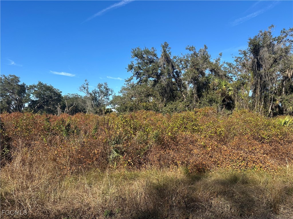 646 Kleinart Drive NW Lehigh Acres FL 33972 2026000443 image3