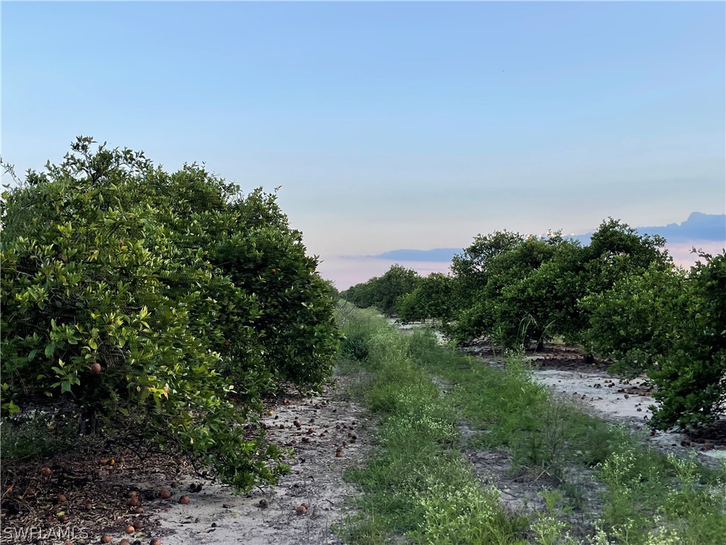 6475 7th Road Labelle FL 33935 224033304 image1