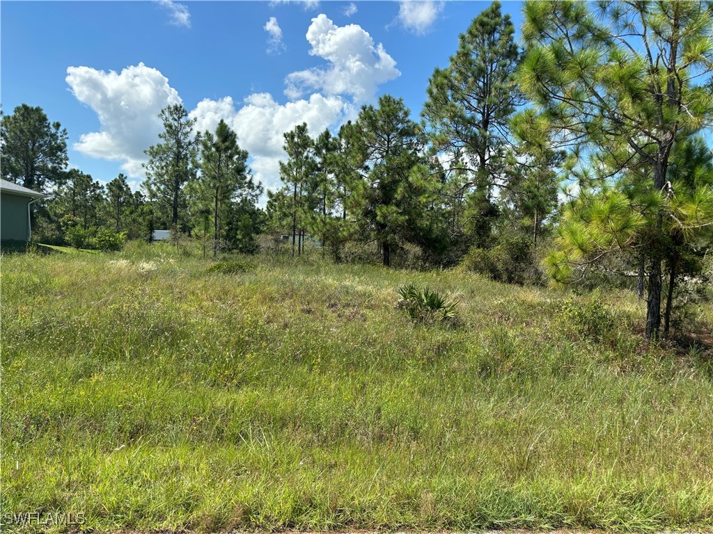 650 Crabtree Court Lehigh Acres FL 33974 224071210 image1