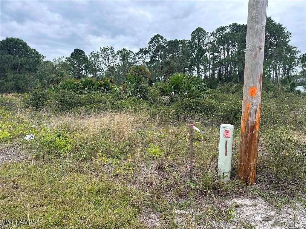 650 Knapp Street Lehigh Acres FL 33974 224074974 image3