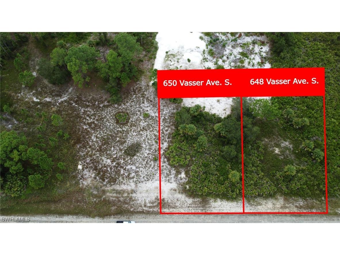 650 Vasser Avenue S Lehigh Acres FL 33974 223077210 image1