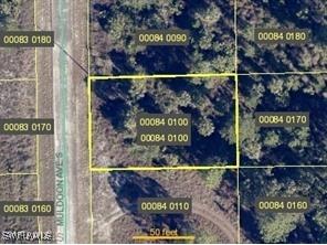 651 Muldoon Avenue S Lehigh Acres FL 33974 225009994 image1