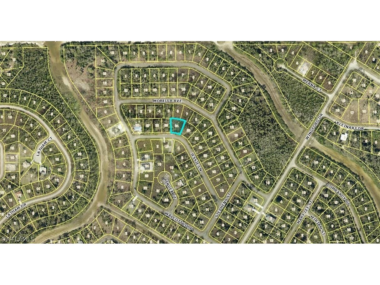 654 Jessie Lane S Lehigh Acres FL 33972 224036856 image1