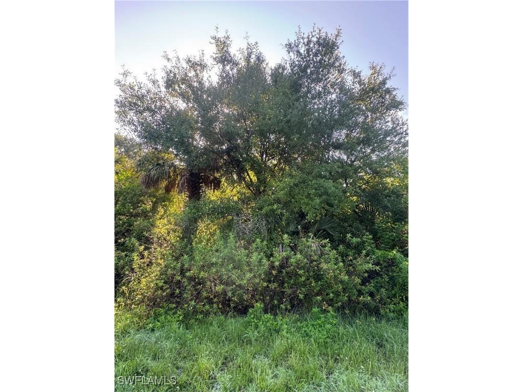 655 S Estribo Street Clewiston FL 33440 225054428 image3