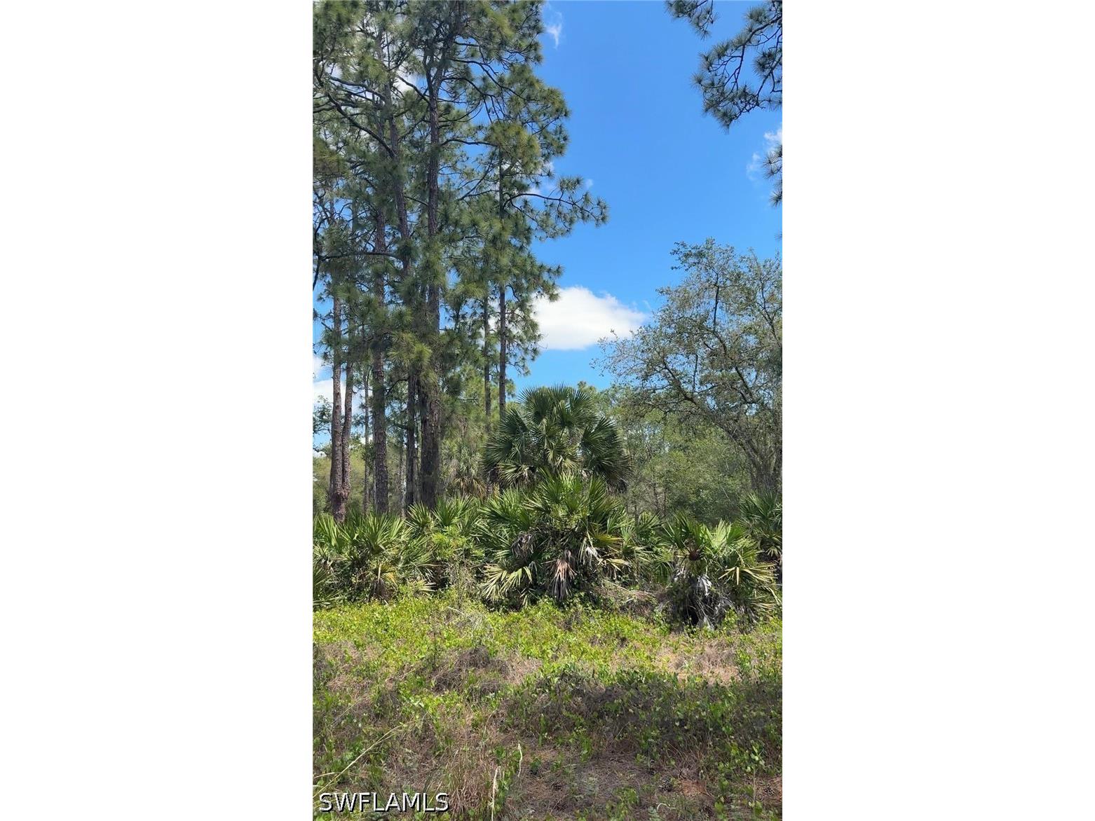 655 S Olivo Street Clewiston FL 33440 226015459 image4