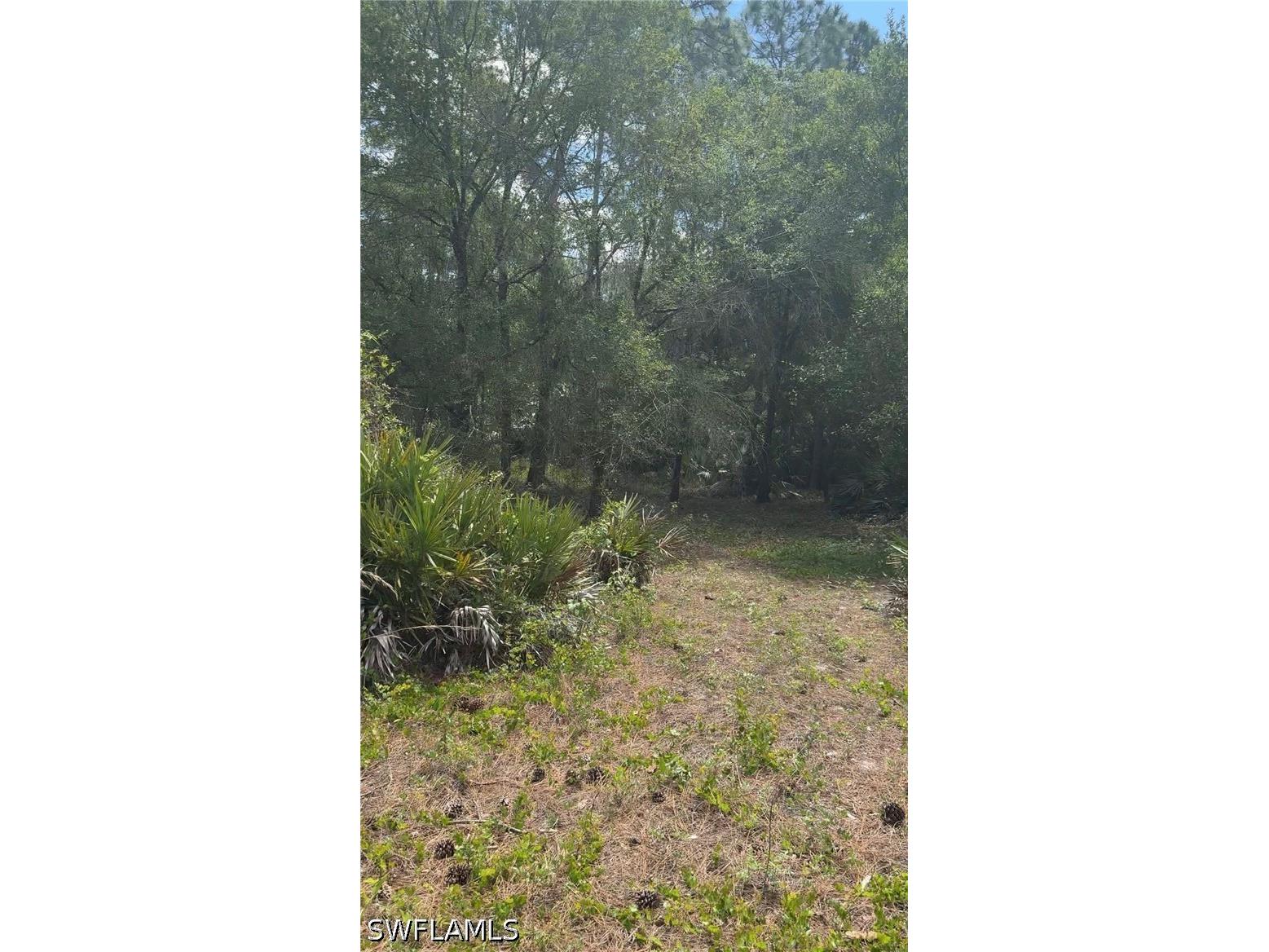 655 S Olivo Street Clewiston FL 33440 226015459 image5