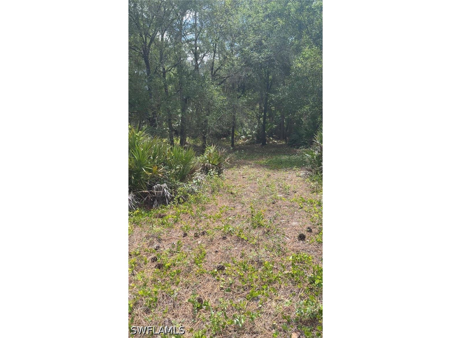 655 S Olivo Street Clewiston FL 33440 226015459 image6