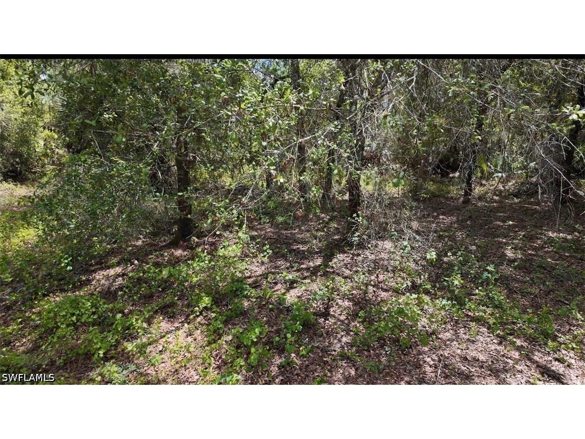 655 S Olivo Street Clewiston FL 33440 226015459 image7