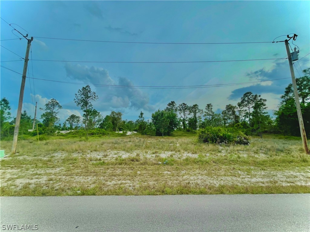 656 Raintree Street E Lehigh Acres FL 33974 224029050 image1