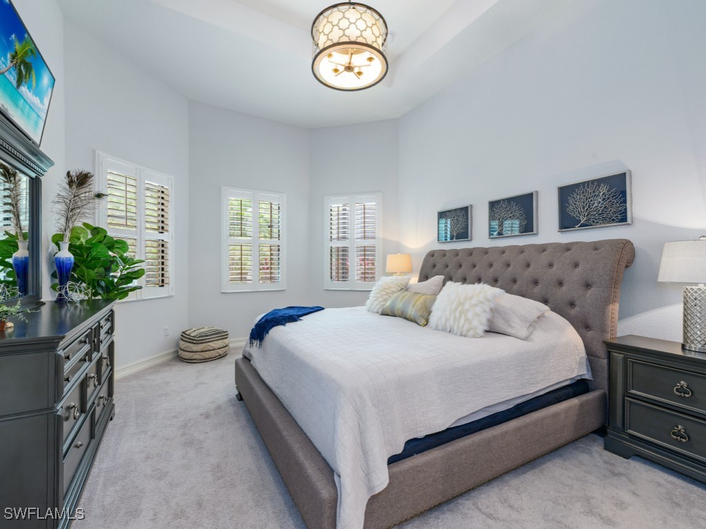 6562 Amarone Lane Naples FL 34113 225071702 image10