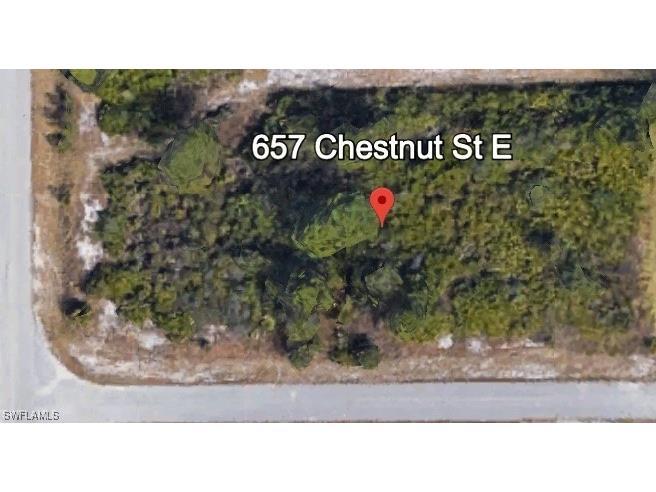 657/659 Chestnut Street E Lehigh Acres FL 33974 224090270 image1